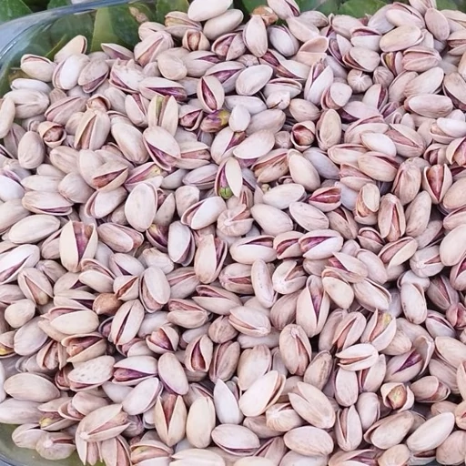 قیمت پسته خنجری با کیفیت عالی مغز